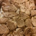 Paul Bailey's cooksnap of when they made Herb Roasted Pork Tenderloin.