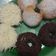 Cooksnap dari Yanti untuk resep Donat Kentang & Bomboloni