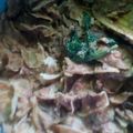 El cooksnap de Minna Mrqz Prds cuando hizo Chilaquiles rojos.