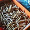 Cooksnap dari Dyah Ayu untuk resep Kue gabus keju