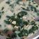 Cooksnap dari ND Wulandari untuk resep Bobor Bayam Telur Puyuh