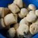 La cooksnap de Sabrina Ragni cuando cocinó Galletitas de manteca