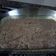 Cooksnap dari Kartika Pramanasarikartika untuk resep Banana Steam Cake