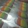 Cooksnap dari citrina rakhmaningrum untuk resep Lidah kucing rainbow