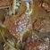 Cooksnap dari Dian Anggia untuk resep Anti gagal Kepiting Asam Manis