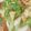 Jeremy's Kitchen 的 小火鍋 cooksnap