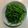 May 的 蒜炒空心菜（水炒法） cooksnap