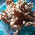Cooksnap dari Kadek Dwi Arsani untuk resep Jamur Tiram Crispy