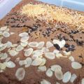 Cooksnap dari Hulfah Husein untuk resep Bolu Labu kuning