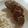 El cooksnap de Saúl Chacón cuando hizo Croquetas de sardina.