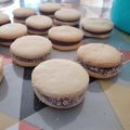 El cooksnap de Graciela R. cuando hizo Galletitas de maicena en Essen! 💙 Sin horno 🙌🏼 fáciles y rápidas ⏱👍🏼.