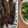 Cooksnap của Dieu Trang khi họ làm theo món Cá Kèo nướng sa tế