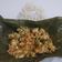 Cooksnap dari Tanaka Hamui untuk resep Bothok 3 T_Teri Tahu Tempe #pr_wantuteri