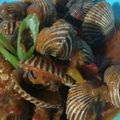 Cooksnap dari Mama Azzam untuk resep Kerang dara saus padang