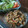 Cooksnap dari N_M untuk resep Ayam suwir sambal matah