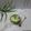 Cooksnap dari Mama Aisya Wafi untuk resep Bubur Sumsum Pandan