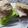 El cooksnap de Karen Zubiaurre cuando hizo Pan vegano de semillas express -en taza- 🍞 :).