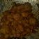 Cooksnap dari diyanah.fith untuk resep Pentol mercon