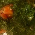 Cooksnap dari Handayani untuk resep Tumis daun kenikir