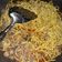 Cooksnap dari Nhyeranda Popang Opang untuk resep Mi kuah basah kuyup