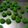 Cooksnap dari santi untuk resep Semprit Pandan (tepung kanji)