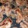 صورة من Wasafat_loulou، شاركها بعد تجربة وصفة مجبوس دجاج 🍗 ☺😋