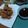 Cooksnap dari Evriel Fortina untuk resep Bistik Ayam