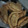 El cooksnap de kariina_gabriela cuando hizo Masa de empanadas para freír.