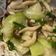 黃靜 的 鴻喜菇炒絲瓜 cooksnap