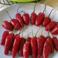 Cooksnap dari Hestri Manda untuk resep Kue cabe