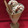 El cooksnap de penchi briones garcia cuando hizo Helado a la canela.