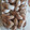 El cooksnap de Anna Berenguer Rodriguez cuando hizo Pastissets de Tortosa.