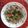 Archna Bhargava's cooksnap of when they made Danhi Boondi Raita.