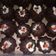 Cooksnap dari Dewi Meylasari untuk resep Brownies imut 1 telur