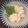 陳蛋糕 的 菊花豆腐 cooksnap