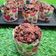 Cooksnap dari Rahayu Ermawati untuk resep Muffin coklat Simple No Mixer nyoklat bangeet