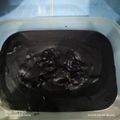Cooksnap dari renny renny untuk resep Selai Coklat Homemade