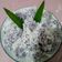 Cooksnap dari Masni Bintuni untuk resep Klepon ubi ungu