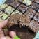 Cooksnap dari Anggraeni Dwi Saputri untuk resep Brownies panggang chocolate chip