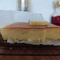Cooksnap dari spyroz untuk resep Japanese Cotton Cheesecake