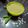 Rita Solanki's cooksnap of when they made પૌઆ ની ચટણી (Poha Chutney Recipe In Gujarati).