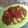 Cooksnap dari adila prabasiwi untuk resep Ayam Kampung Serundeng Rempah