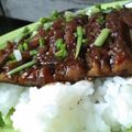 Cooksnap dari 'Izzatil 'Adawiyah untuk resep Unagi don Vegan 🍆