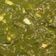 Maya Rani का कुकस्नैप जब उन्होंने पालक पनीर(PALAK PANEER RECIPE IN HINDI) बनाया था।