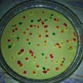 Cooksnap dari Suhartini Bachrie untuk resep Puding Custard Rainbow Fla