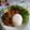 Cooksnap dari Rika Erviana untuk resep Sosis asam manis