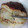 El cooksnap de Marilu cuando hizo Roscón de reyes.