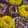 Cooksnap dari Dinda Ayu untuk resep Donat Kentang Ncc