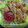 Cooksnap dari Saifah Mujahidah untuk resep Tahu bulat homemade kopong, krispi