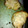 patriciabarden69's cooksnap of when they made Fried Mac and Cheese Bites......